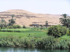 
Train between Edfu to Esna, June 2010